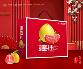 柚子包装 蜜柚礼盒