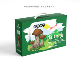 黑皮鸡枞菌包装