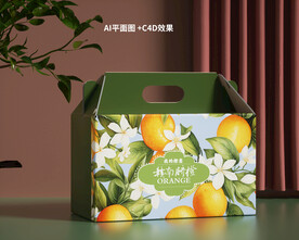 装橙子包装箱 