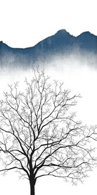 新品 轻奢清晰玄关 Tif分层