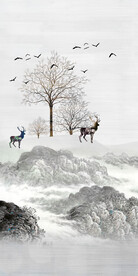 淡雅 新品高档玄关 TiF分层