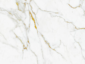 新传 新金线鱼肚白 tIF合层