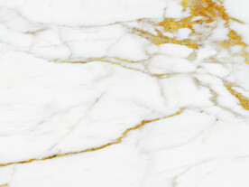 高雅 新金线鱼肚白 tIF合层