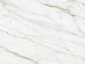 天然 新金线鱼肚白 tIF合层