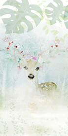 爆款 清晰欧式玄关 TIF分层