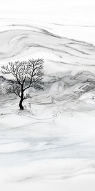 淡雅 玄关极简新画 Tif分层