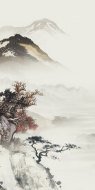 高端 清晰新品玄关 TIF分层