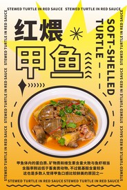 红煨甲鱼