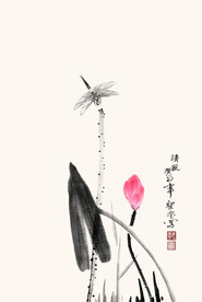 小荷才露尖尖角