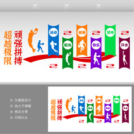 蓝球运动文化
