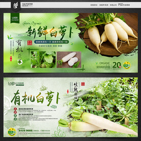 白萝卜