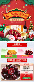 圣诞节生鲜电商社区团购首页