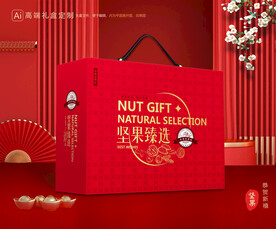 坚果礼盒 年货包装