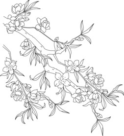 梅花 春梅 矢量图