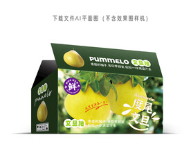 度尾文旦柚包装