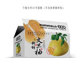 文旦柚包装