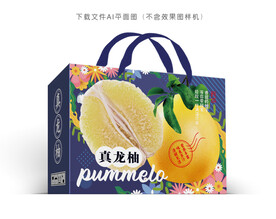 真龙柚包装 