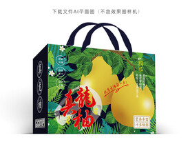 真龙柚包装