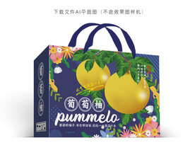 葡萄柚包装