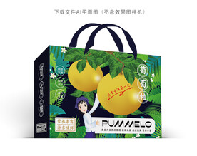 葡萄柚包装