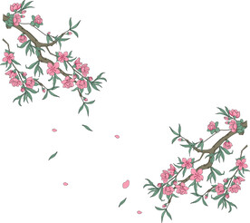 梅花 插画 矢量图
