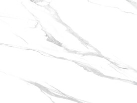 新传 清晰鱼肚白图 Tif合层