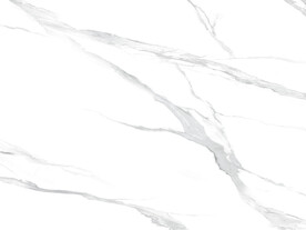 新品 清晰鱼肚白图 Tif合层