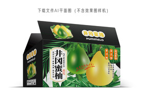 井冈蜜柚包装