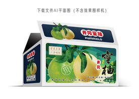 井冈蜜柚包装