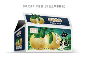 垫江白柚包装