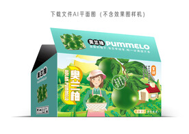 奥兰柚包装