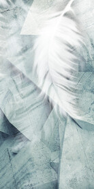 高档 简奢大气玄关 TiF分层