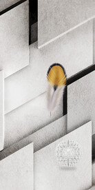 人气 豪华简奢玄关 TiF分层