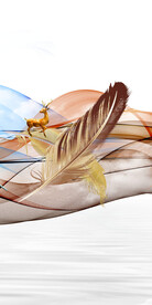 高端 最新大气玄关 TiF分层