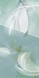 高雅 最新大气玄关 TiF分层