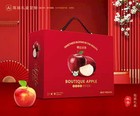 苹果包装 红富士礼盒