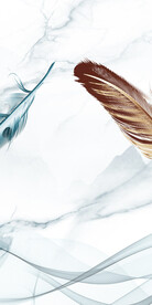 别墅 新传清晰玄关 TiF分层