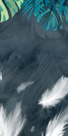 人气 最新欧式玄关 TIf分层