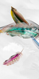 新款 清晰欧式玄关 TIf分层