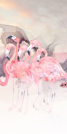 高端 清晰欧式玄关 TIf分层