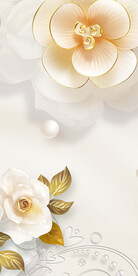 豪华 欧式清晰玄关 TiF分层