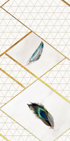 最新 欧式高清玄关 TiF分层