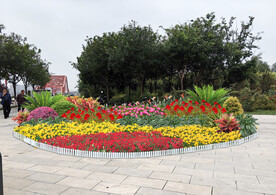 节日花坛