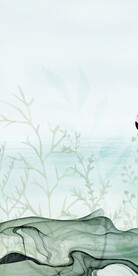 高档 新品大气玄关 TiF分层