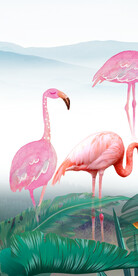 大气 简约人气玄关 TiF分层