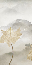 清晰 新品最新玄关 TiF分层