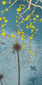 大气 清晰最新玄关 tiF分层