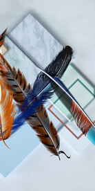 淡雅 新传最新玄关 TiF分层