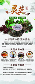 灵芝海报