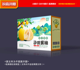 柚子包装 蜜柚礼盒